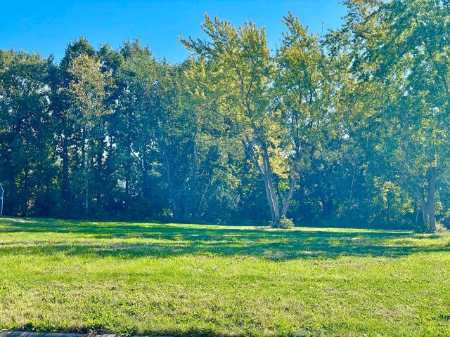 Land for sale in Schererville, Lake County