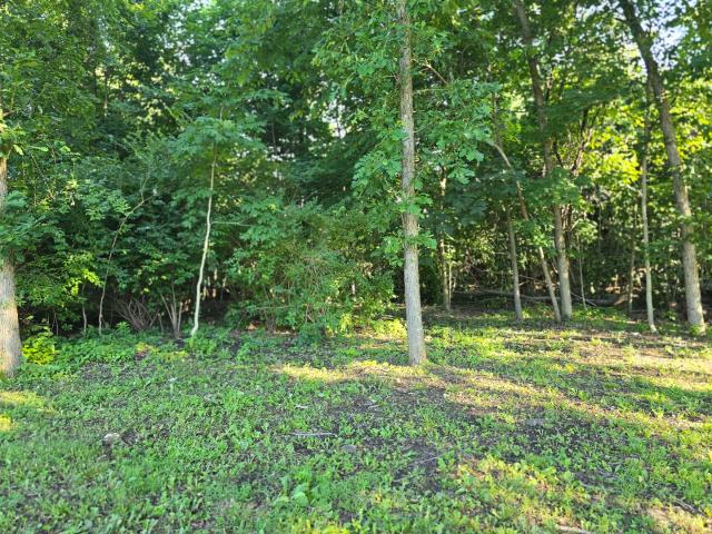 Land for sale in Bristol, Illinois