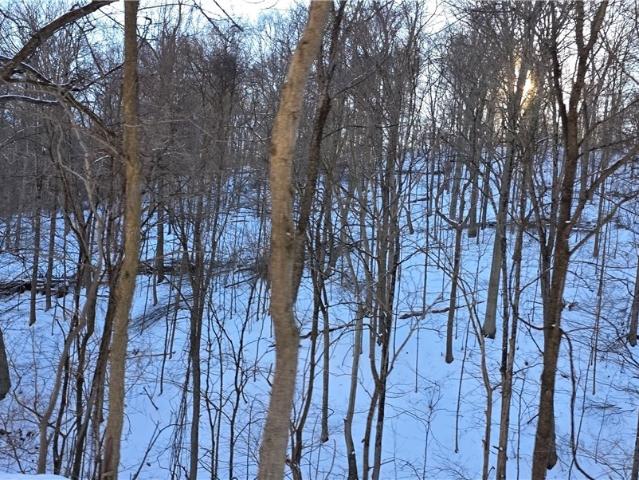 Land for sale in Belmont, Ohio