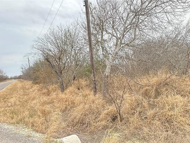 Land for sale in San Patricio, Texas