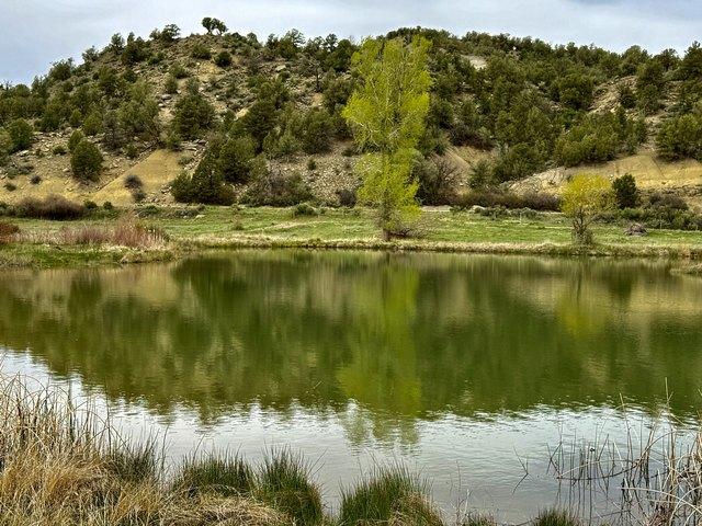 Farm for sale in La Plata, Colorado