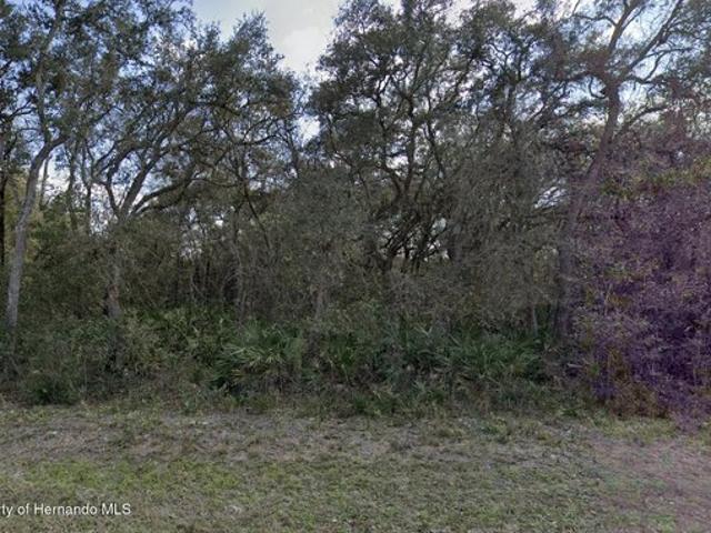 Land for sale in Webster, Florida