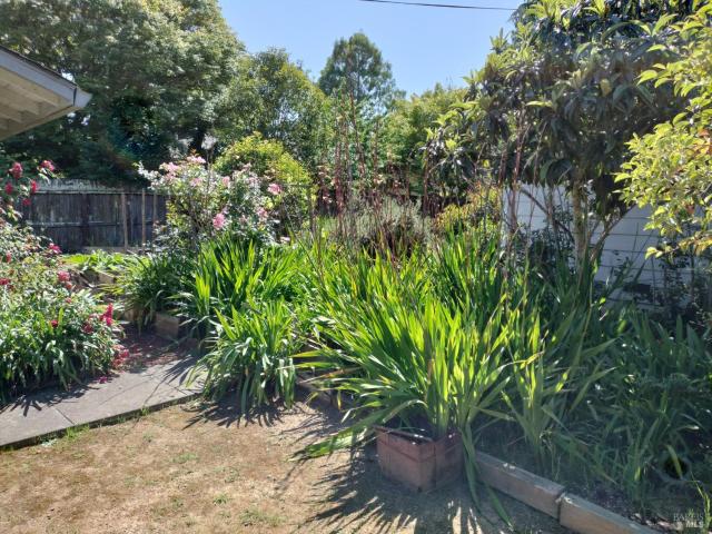 House for sale in Sebastopol, California