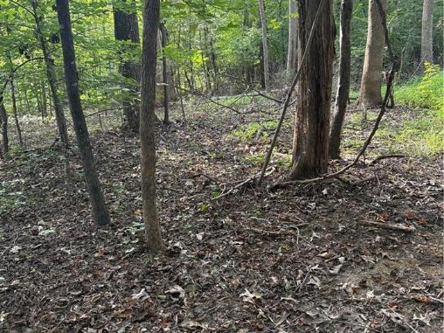 Land for sale in Guilford, North Carolina