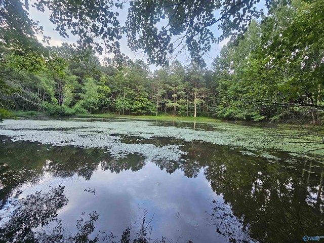 Land for sale in Mentone, Alabama