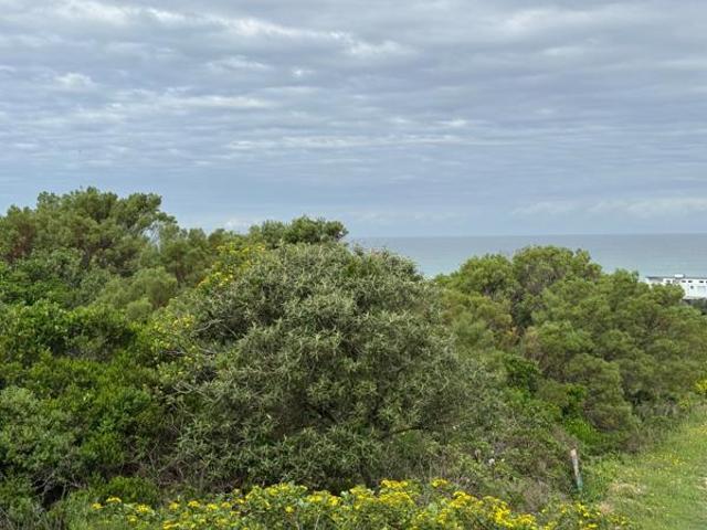 Land for sale in Bushmans River Mouth, Eastern Cape