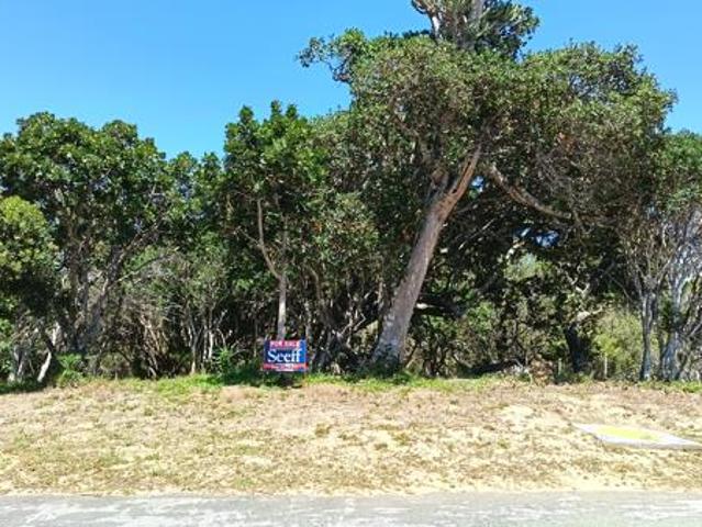 Land for sale in Bushmans River Mouth, Eastern Cape