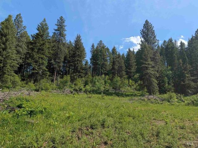 Land for sale in Orofino, Idaho