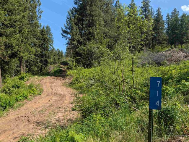 Land for sale in Orofino, Idaho
