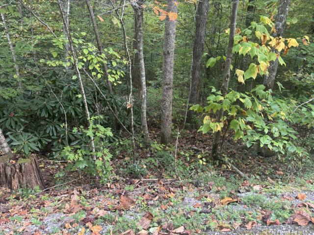 Land for sale in Pittman Center, East Tennessee