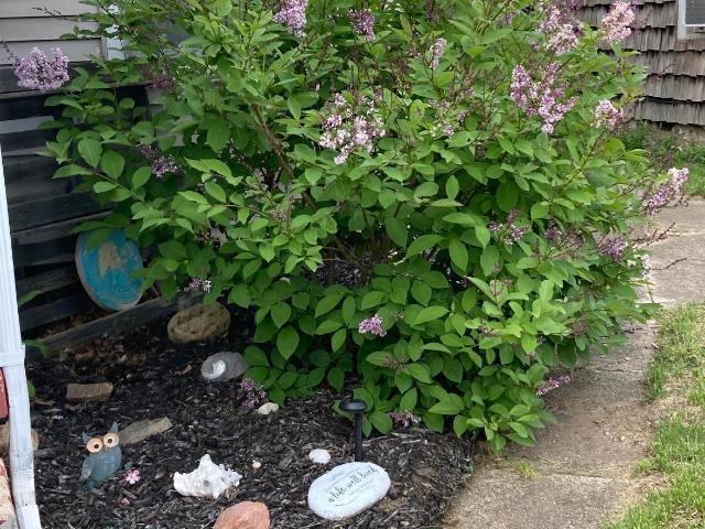House for sale in Logansport, Indiana