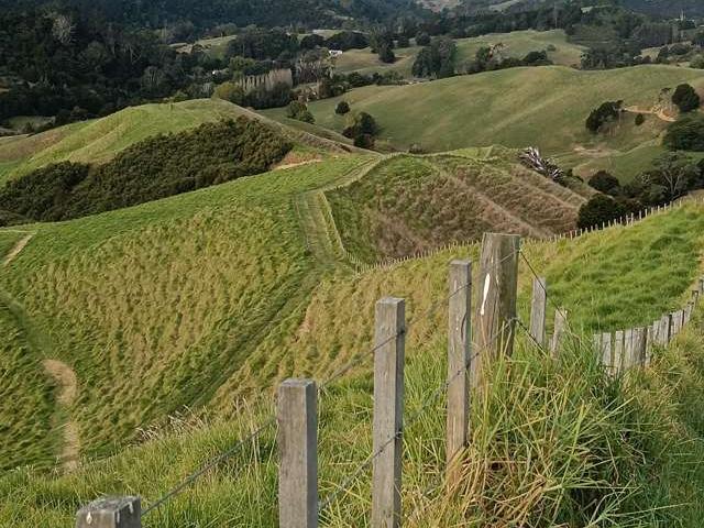 Property for sale in Kawau Island