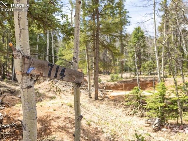 Land for sale in Divide, Teller County