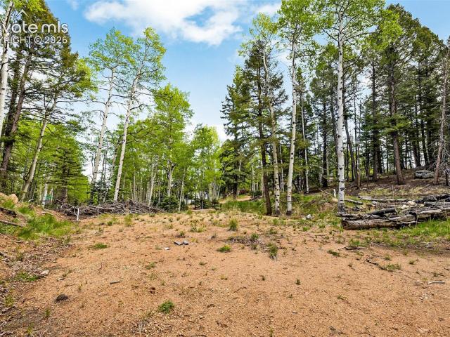 Land for sale in Divide, Teller County