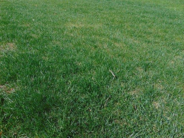 Land for sale in Mchenry, Illinois