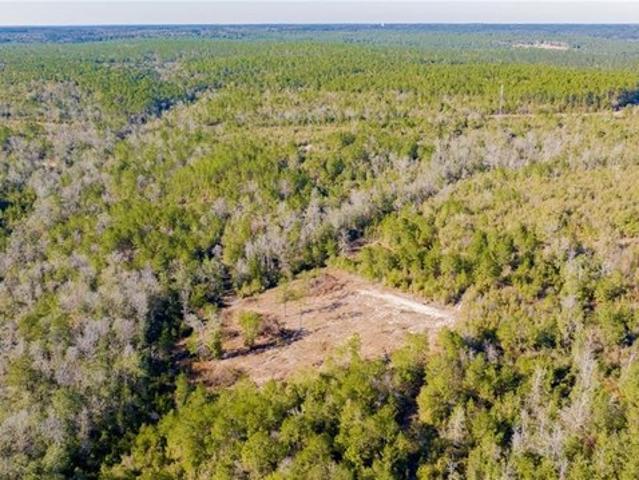Land for sale in Prichard, Alabama