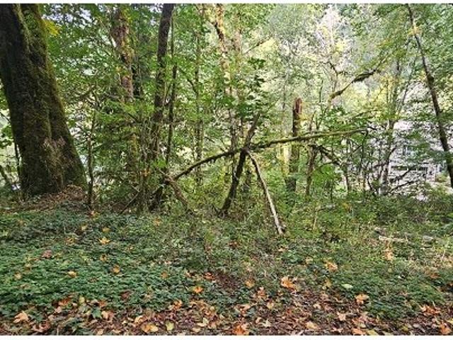 Land for sale in Columbia County, Oregon