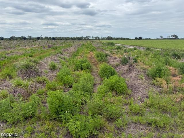 Land for sale in Florida