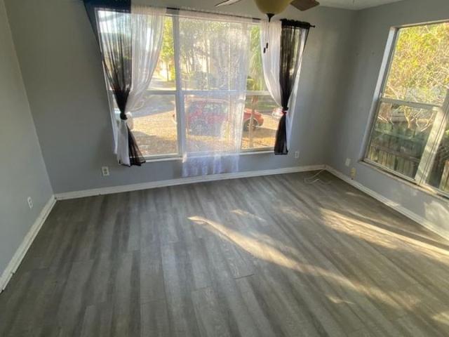 Apartment for rent in Saint Petersburg, Florida