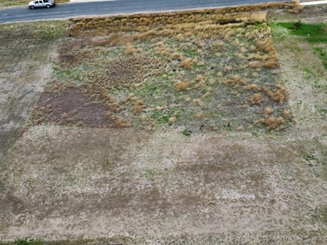 Land for sale in Saint Hedwig, Texas