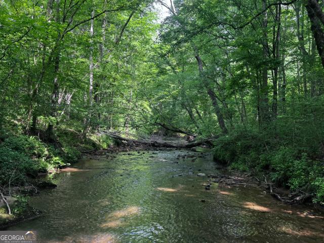 Land for sale in Franklin, Georgia