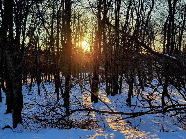 Land for sale in Carbon, Pennsylvania
