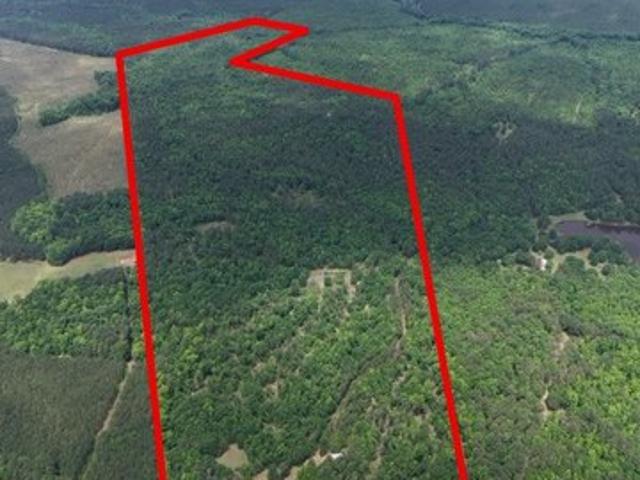 Land for sale in Sparta, Georgia