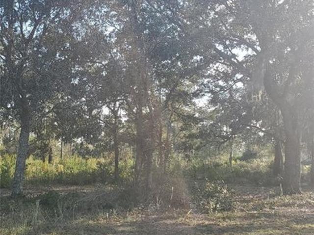 Land for sale in Indian Lake Estates, Polk County