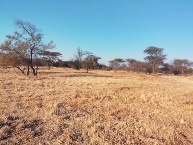 Land for sale in Limpopo