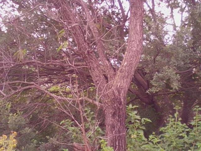 Land for sale in North West