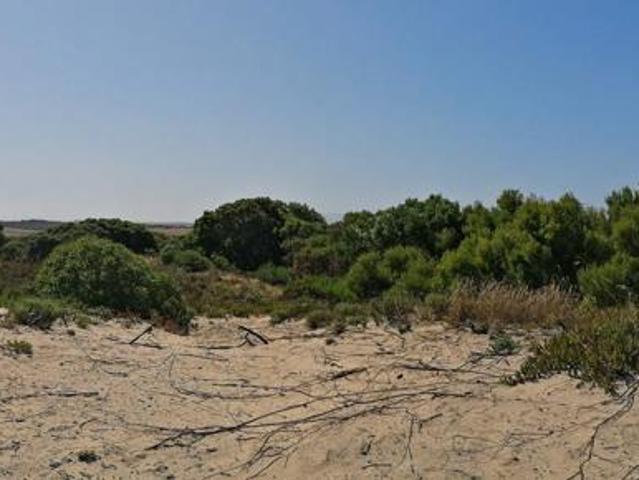 Land for sale in Cape St Francis, Eastern Cape