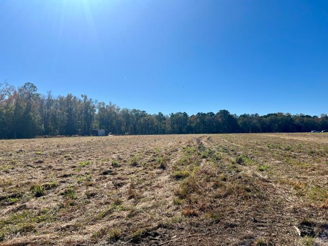 Land for sale in Walterboro, South Carolina