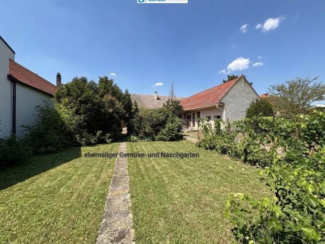 Haus kaufen in Tadten, Burgenland