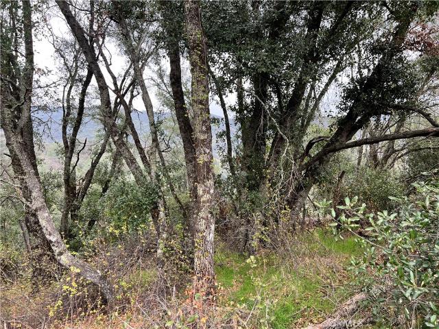 Land for sale in Lake, California