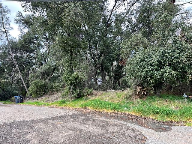 Land for sale in Lake, California