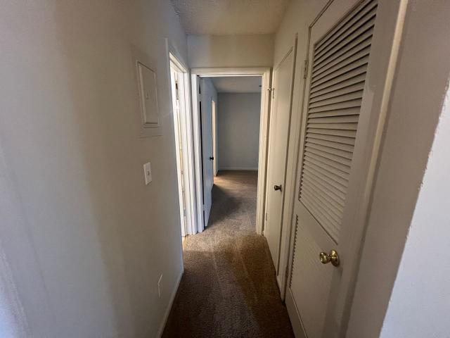 Apartment for rent in Alberta, Alabama