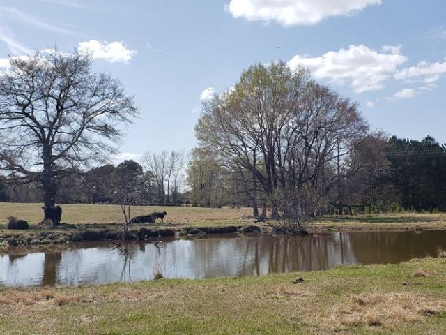 Land for sale in Edgefield, South Carolina