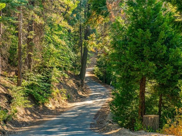 Land for sale in Cedar Glen, California