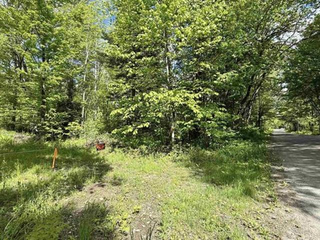 Land for sale in Johnson, Vermont