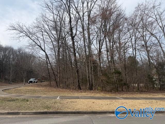 Land for sale in Huntsville, Alabama