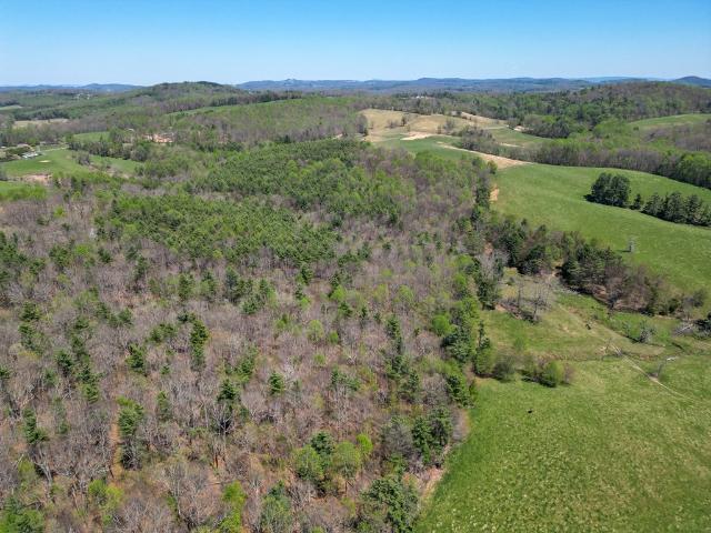 Land for sale in Virginia