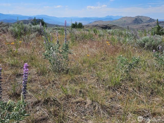 Land for sale in Tonasket, Okanogan County