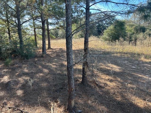 Land for sale in Dime Box, Texas