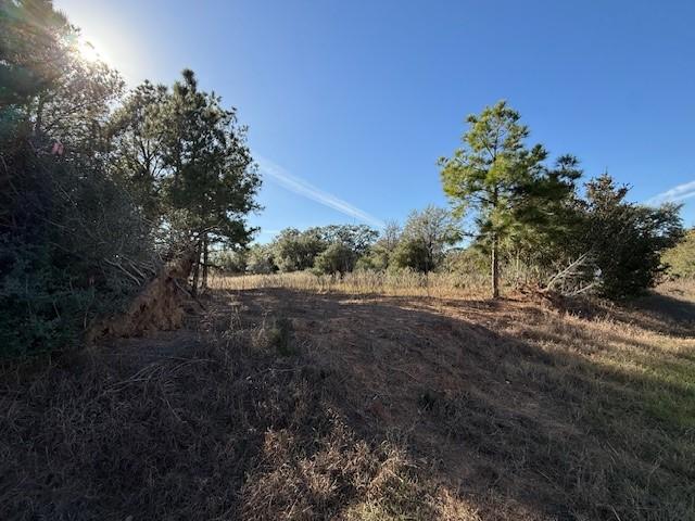 Land for sale in Dime Box, Texas
