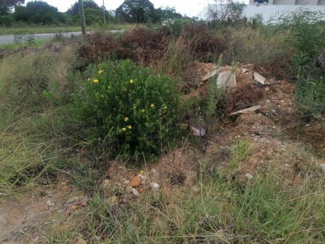 Land for sale in Cape St Francis, Eastern Cape