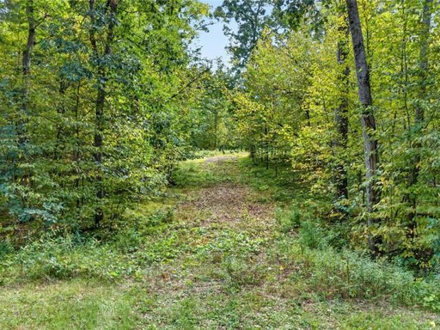 Land for sale in Swiss, Wisconsin