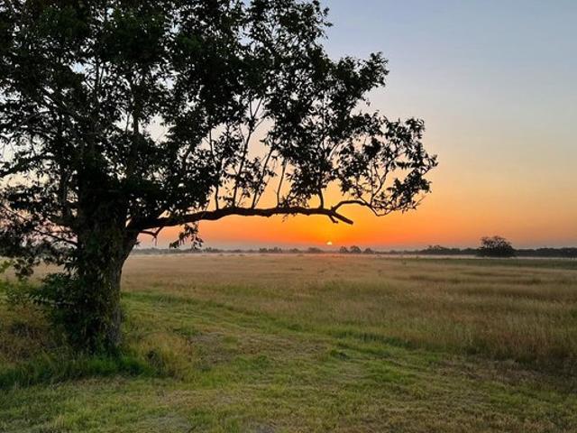 Land for sale in Ledbetter, Texas