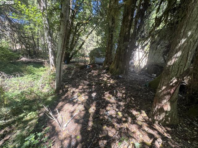 Land for sale in Myrtle Creek, Douglas County