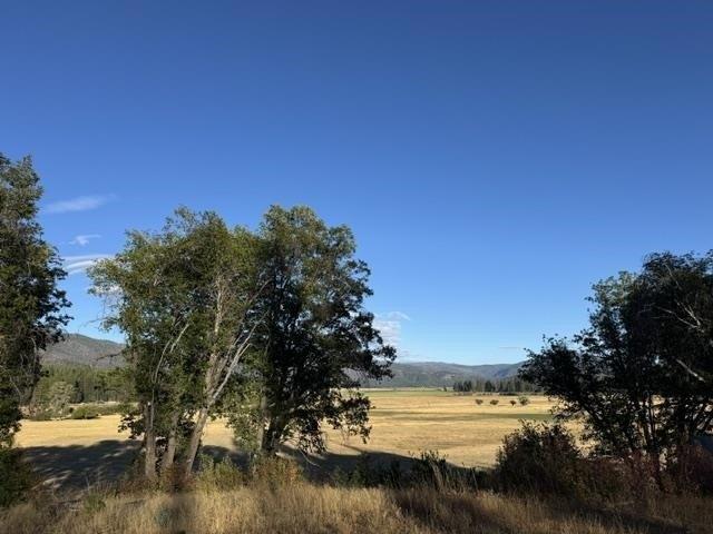 Land for sale in Greenville, California