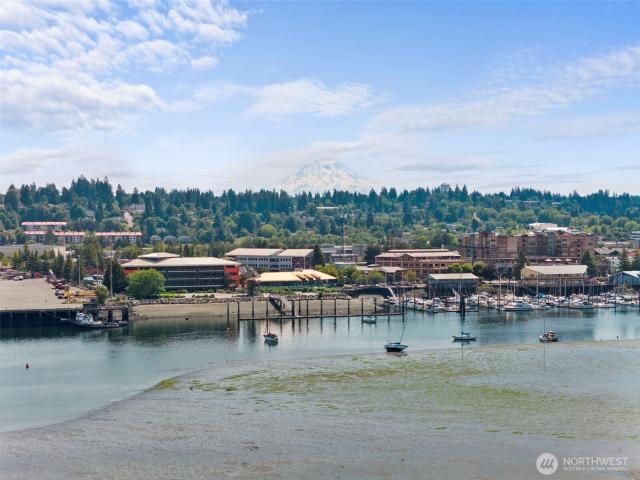 Condo for sale in Thurston, Washington